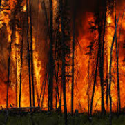 Urgent Action Needed to Improve State and Local Preparedness for Climate Impacts