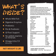 Support Responsible Pet Stores in Reno – Promote Better Care for Pets