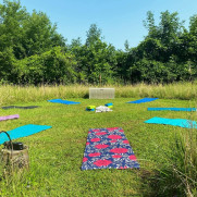 Support Outdoor Yoga, Meditation, & Wellness Classes at Wildflower Wellness